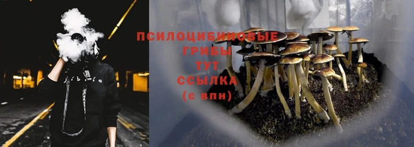 мет Армянск