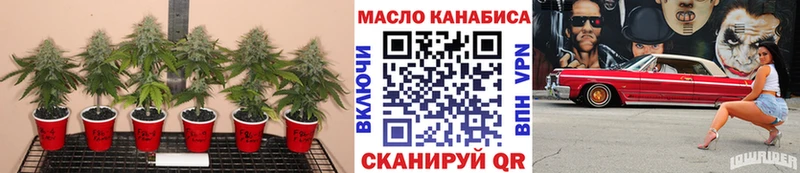 Дистиллят ТГК Wax  Цивильск 